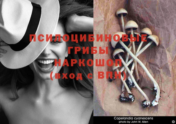 стаф Магадан