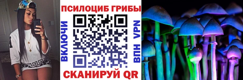 хочу наркоту  Новозыбков  Псилоцибиновые грибы ЛСД 