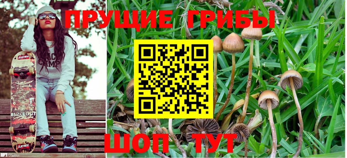 Новозыбков  Галлюциногенные грибы GOLDEN TEACHER  Вход с VPN 