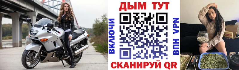 хочу наркоту  Новозыбков  Каннабис гибрид 